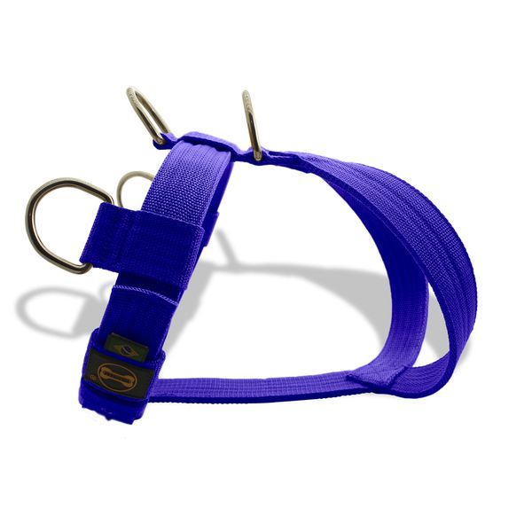 Peitoral Amorosso Tradicional Roxo