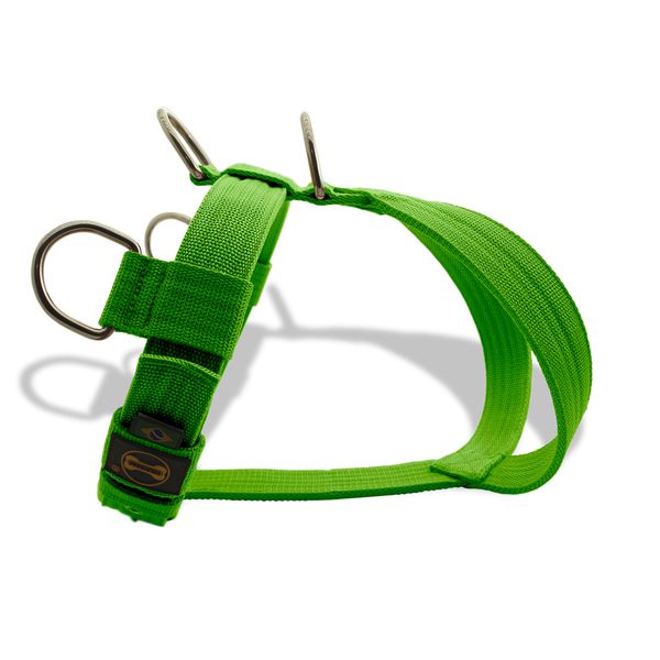 Peitoral Amorosso Tradicional Verde Claro