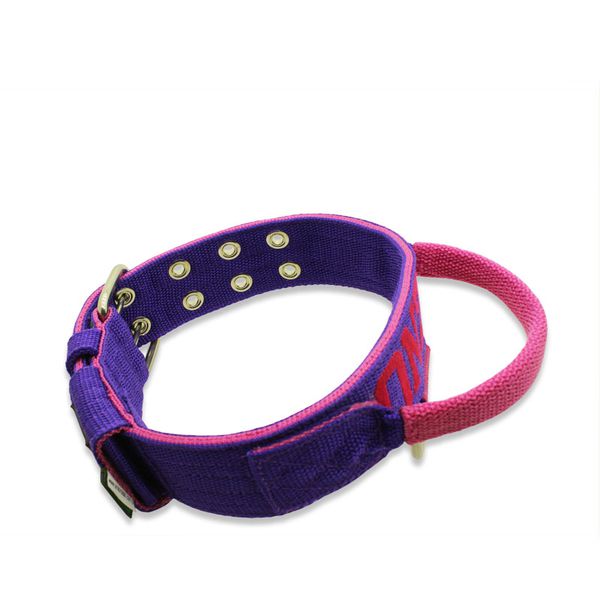 Coleira Poderosso Personalizada (Roxo e Pink) 