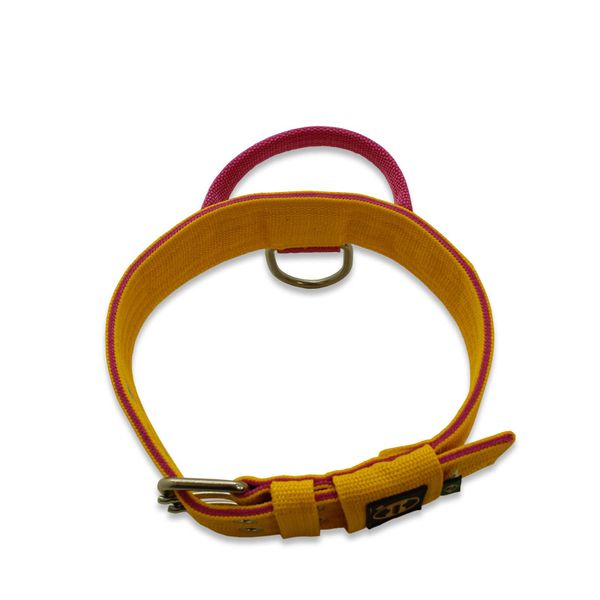 Coleira Poderosso Personalizada (Amarelo e Pink) 