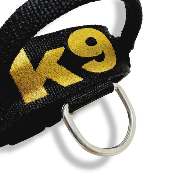 Coleira Poderosso K9 Gold