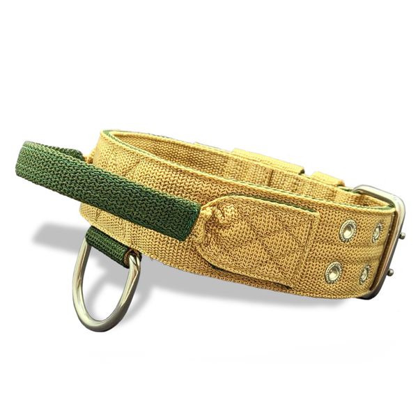 Coleira Para Cachorro Poderosso Bege E Verde Militar Amorosso