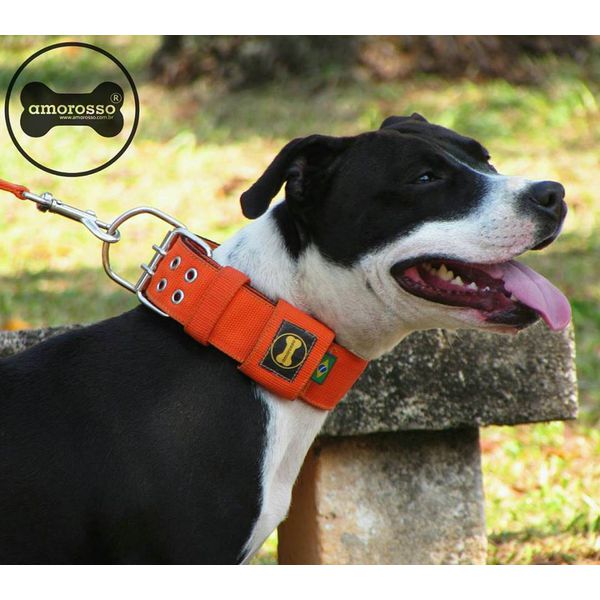  Coleira Para Cachorro Amorosso (laranja e preto)