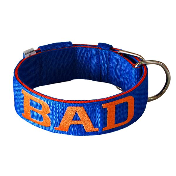 Coleira Para Cachorro Personalizada (azul e laranja) 