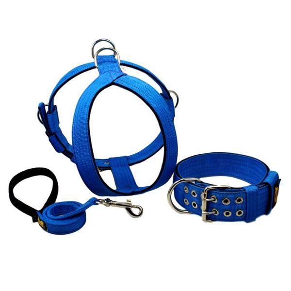 Kit Tradicional Amorosso (azul e preto) (Peitoral + Coleira + Guia)