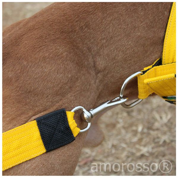 Engate para Peitoral Amorosso® - tração - weightpull 