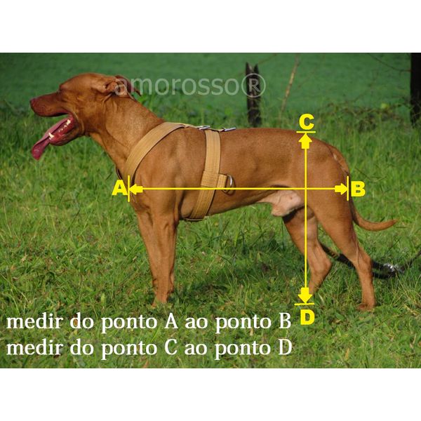 Engate para Peitoral Amorosso® - tração - weightpull 