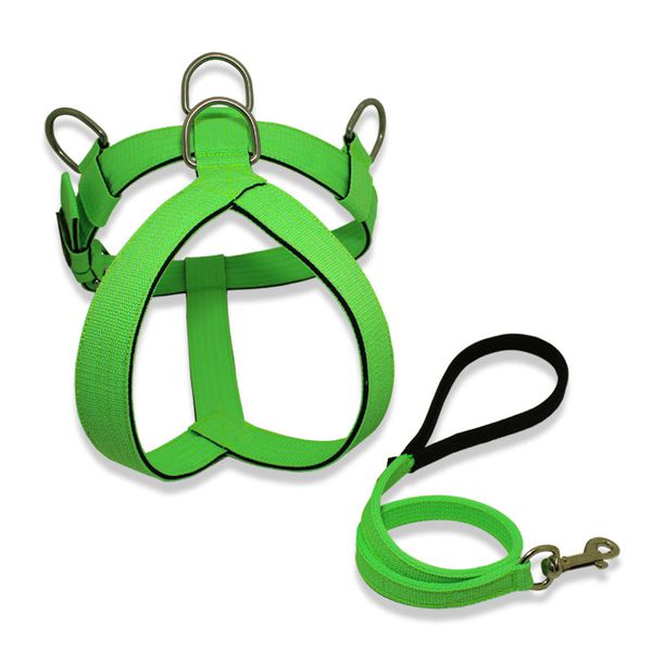 Peitoral Tradicional + Guia Curta 80cm - Verde Flúor e Preto
