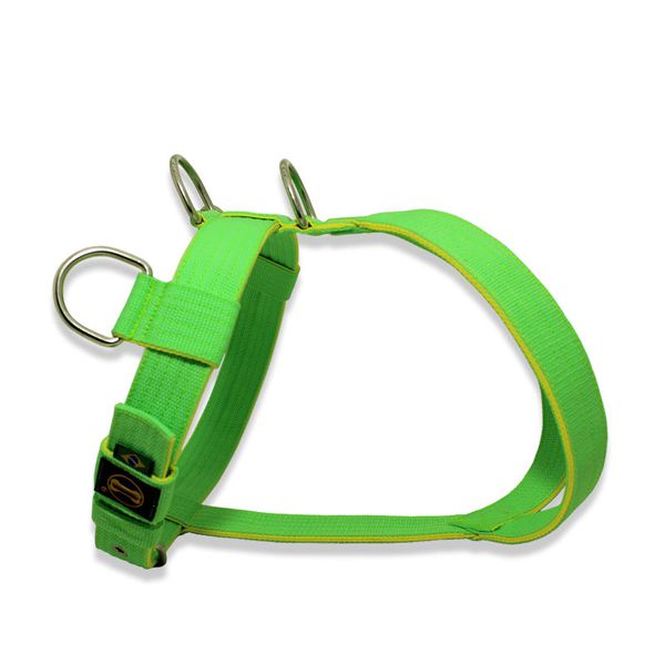 Peitoral Amorosso Tradicional (Verde Flúor e Amarelo Flúor)
