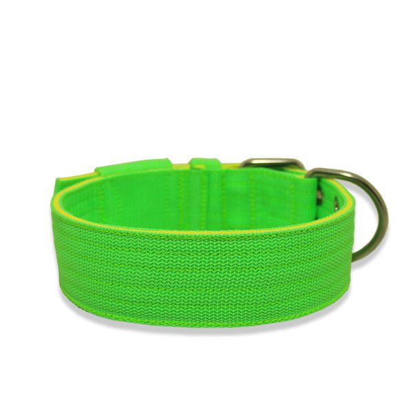 Coleira Para Cachorro Amorosso + Guia Curta 80cm (Verde Fluor e Amarelo Flúor)