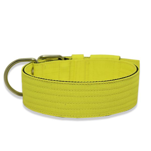  Coleira Para Cachorro Amorosso (Amarelo Flúor e Preto)