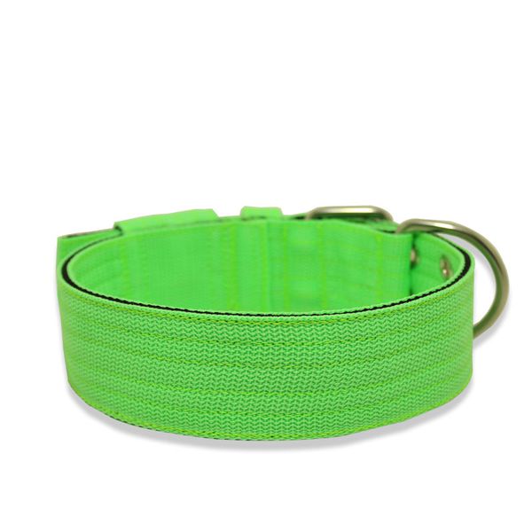 Coleira Para Cachorro Amorosso + Guia Curta 80cm (Verde Flúor e Preto) 