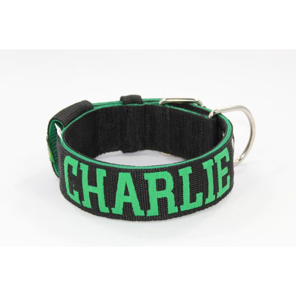 Coleira Para Cachorro Personalizada (preto e verde)