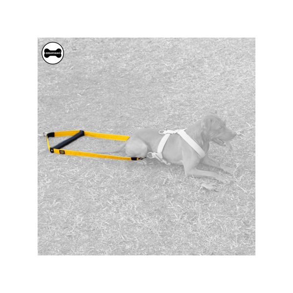 Engate para Peitoral Amorosso® - tração - weightpull 