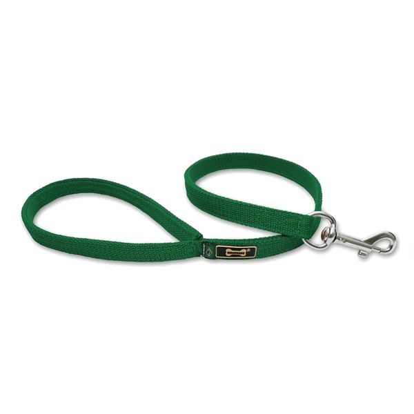 Coleira Para Cachorro Amorosso + Guia Curta 80cm (VERDE) 