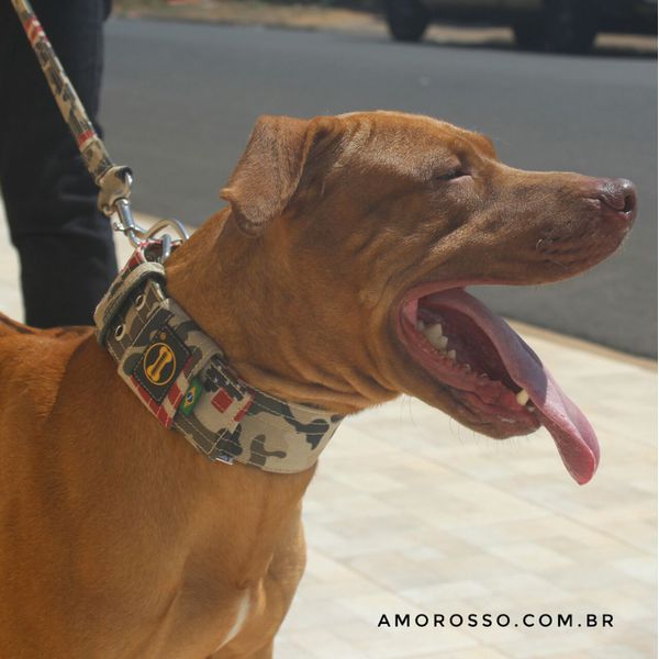 Coleira Amorosso® Camuflado USA + Guia USA