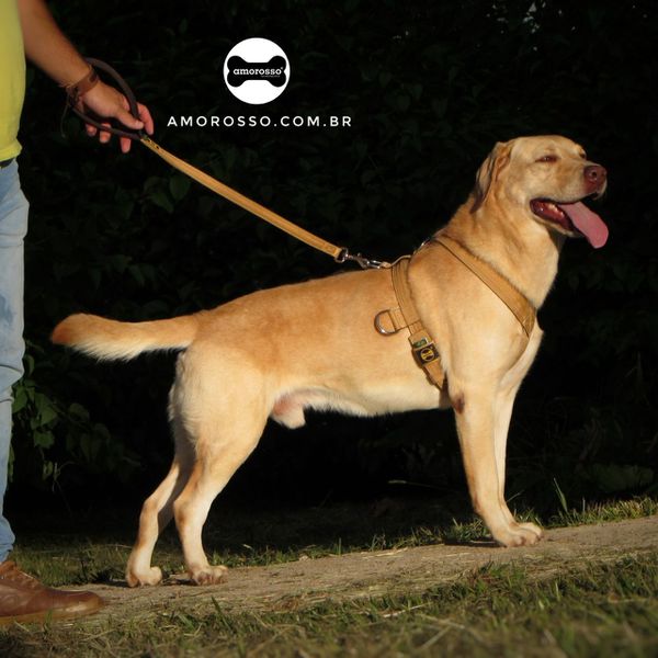 Peitoral Tradicional Amorosso® (bege e marrom) + Guia Curta 80cm