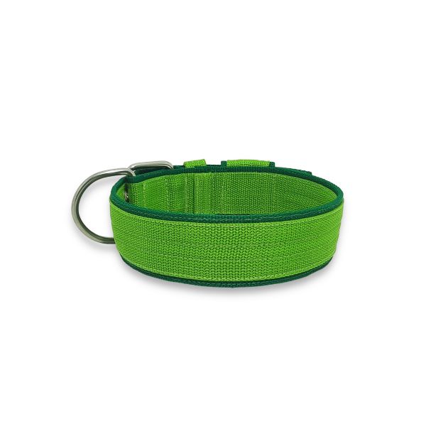 Coleira Para Cachorro Amorosso Slim - verde claro e verde 