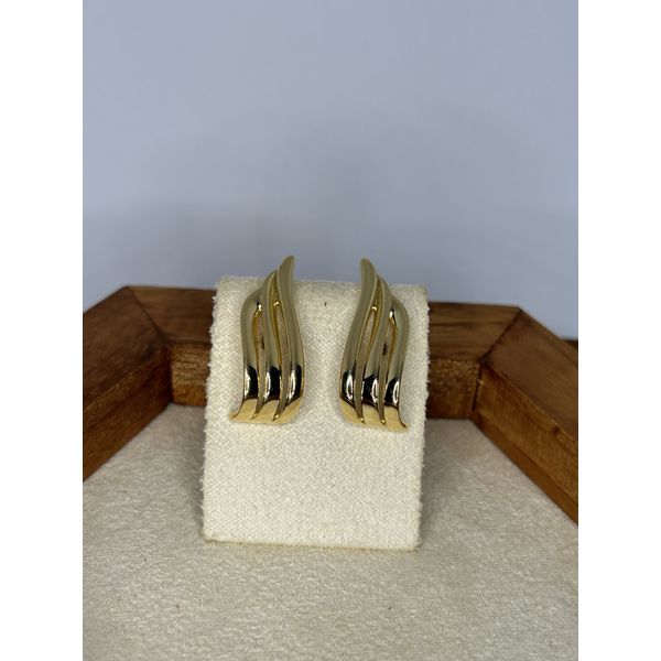 Brinco Ear Hook Asa 