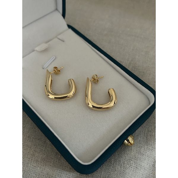 Brinco Argola Gancho Banhado a Ouro