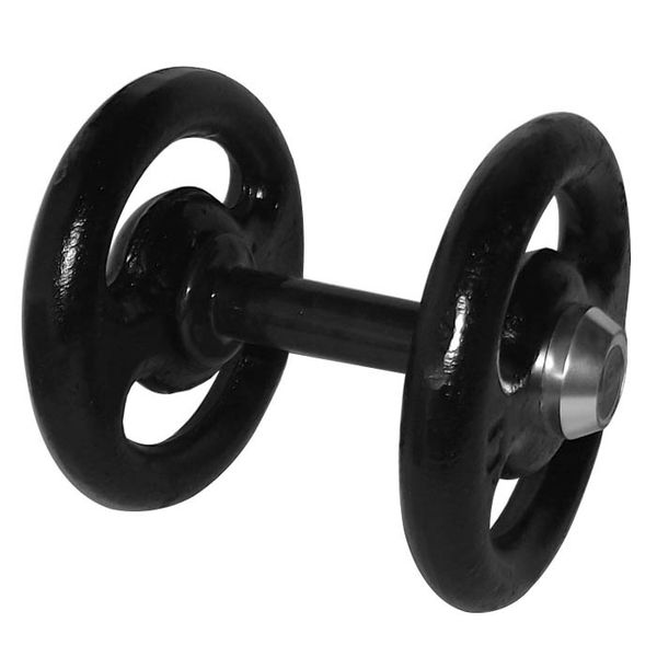 Dumbbell Pintado Com Pegada Emborrachada 10 Kg