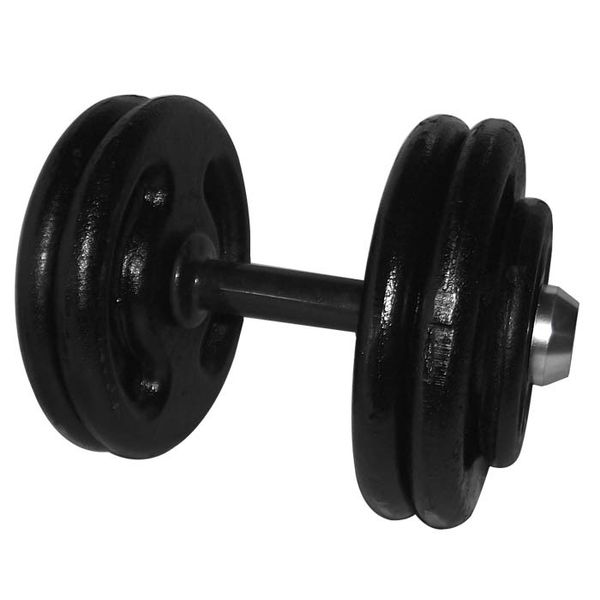 Dumbbell Pintado Com Pegada Emborrachada 24 Kg