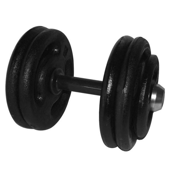 Dumbbell Pintado Com Pegada Emborrachada 26 Kg