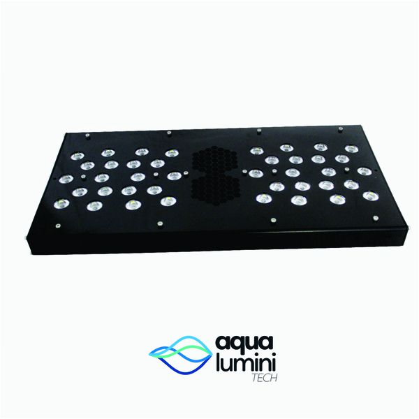 Solarium Marine 40cm