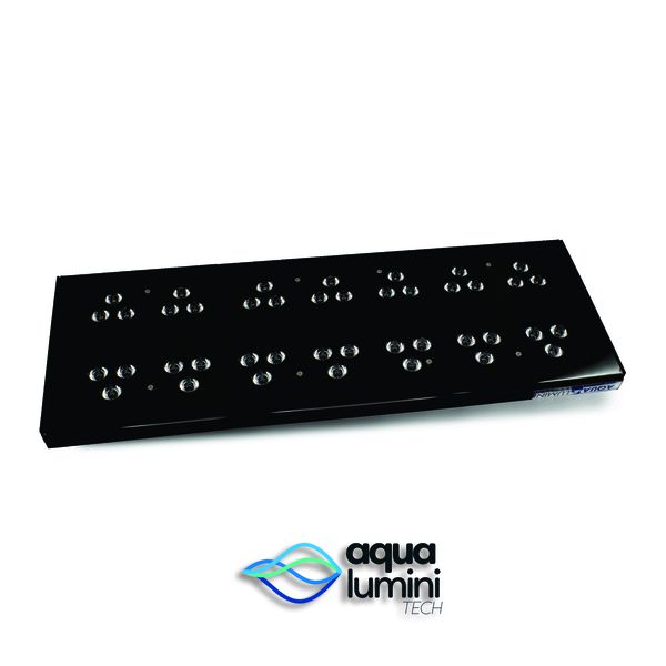 Aqua Marine 60cm