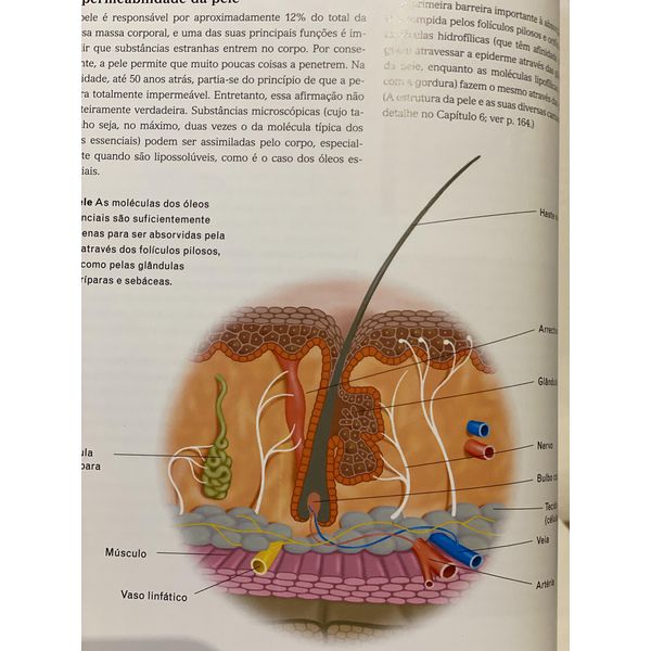 Aromaterapia: Guia Completo Para Iniciantes