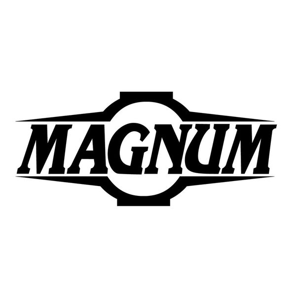 RLG-4088 - Relogio Magnum Masculino Esportivo Analógico MA32434T