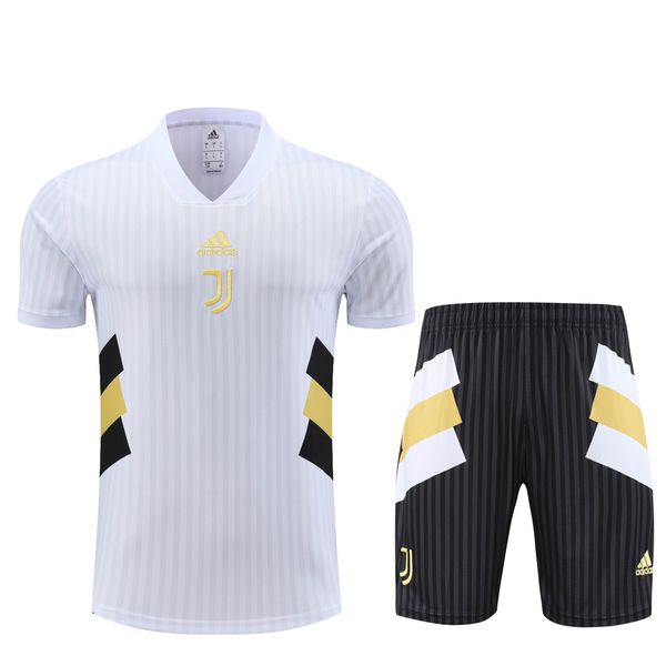 Conjunto de treino Camisa + Short Juventus 23/24 - Masculino