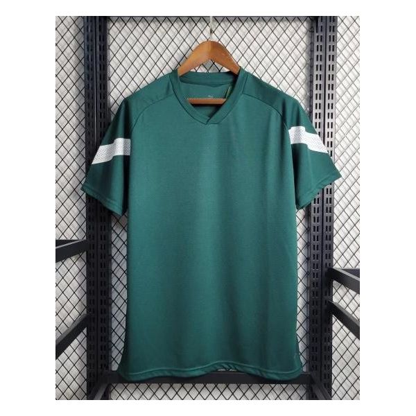 CAMISA PALMEIRAS TREINO 23/24 - TORCEDOR MASCULINA VERDE ESCURO