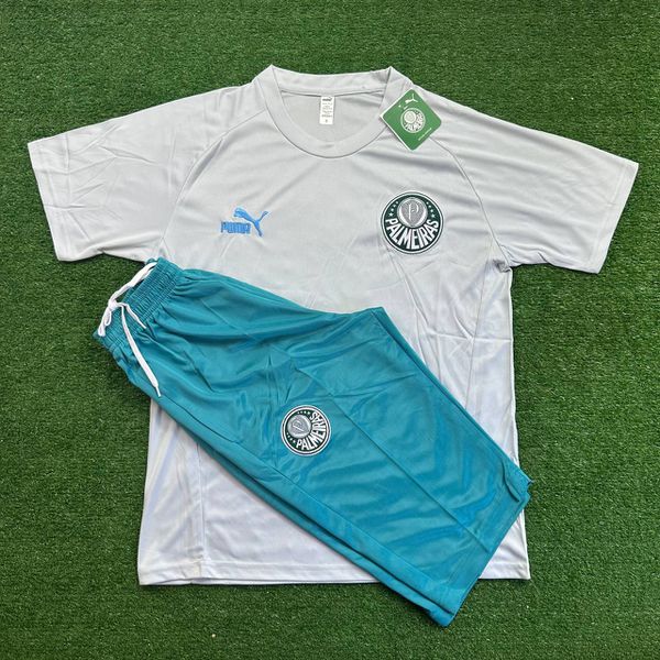 Conjunto De Treino Meia Calça + Camisa Palmeiras - 23/24 - Azul