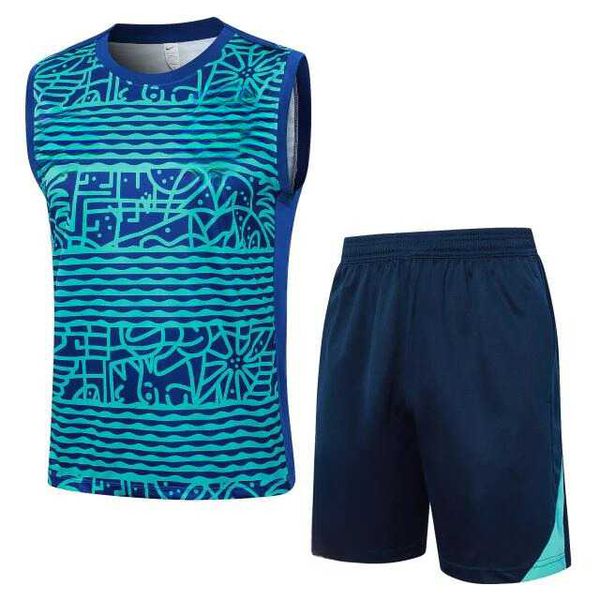 Conjunto Treino Regata E Short Brasil 2024/25