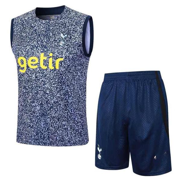 CONJUNTO TREINO TOTTENHAM REGATA + SHORT 2023/24 (SILK HOLGRAFICO)