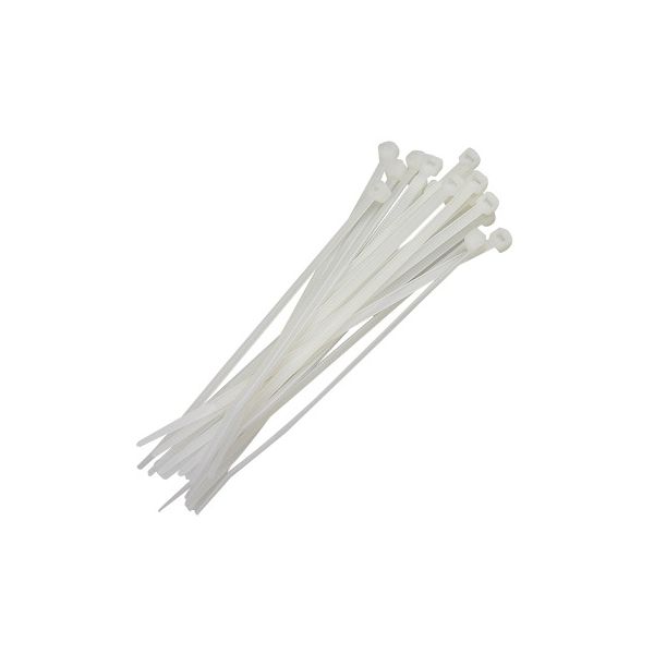 FOXLUX ABRAÇADEIRA NYLON BRANCA 100 X 2,5 C/ 100 UN