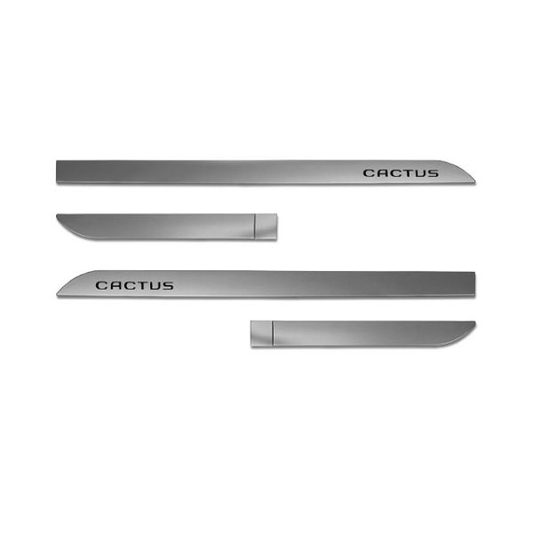 Kit Friso Lateral C4 Cactus Cinza Aluminium Sean Car