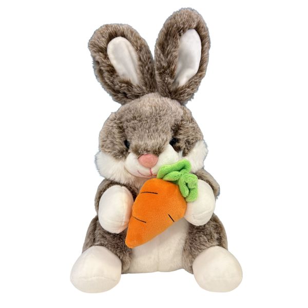 Coelho de Pelúcia com Cenoura 24cm Sortido Fizzy FEC7563
