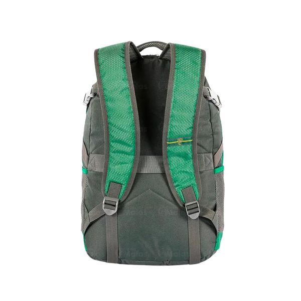 Mochila Esportiva De Costas Palmeiras Sestini