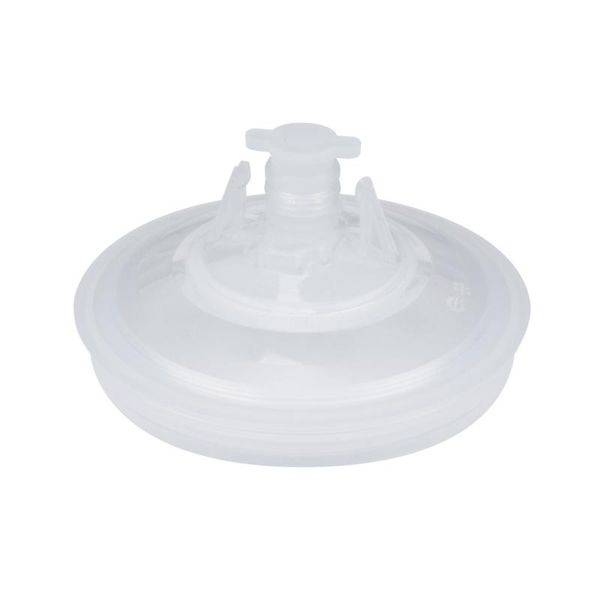 Spw Tampa Caneca Wimpel