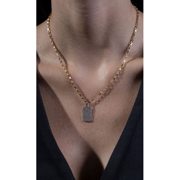 Colar Plaquinha Cravejada Mix de Banhos