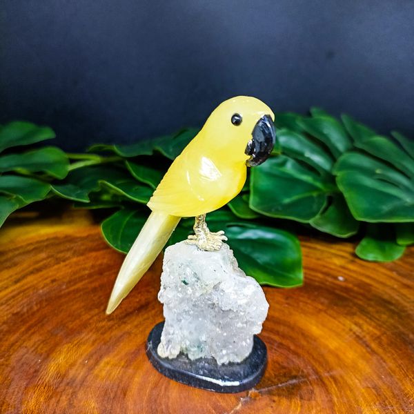 Papagaio De Pedra Natural Amarelo P