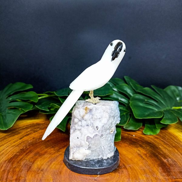 Papagaio De Pedra Natural Branco e Preto M