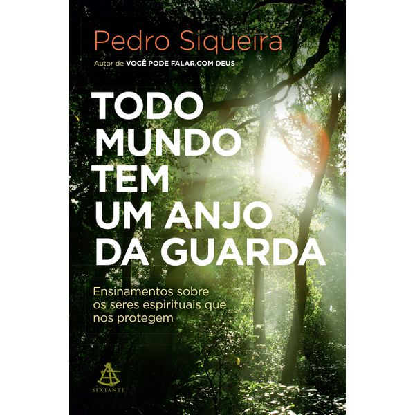 TODO MUNDO TEM UM ANJO DA GUARDA - ENSINAMNETO SOBRE OS SERES ESPIRITUAIS QUE NOS PROTEGEM 