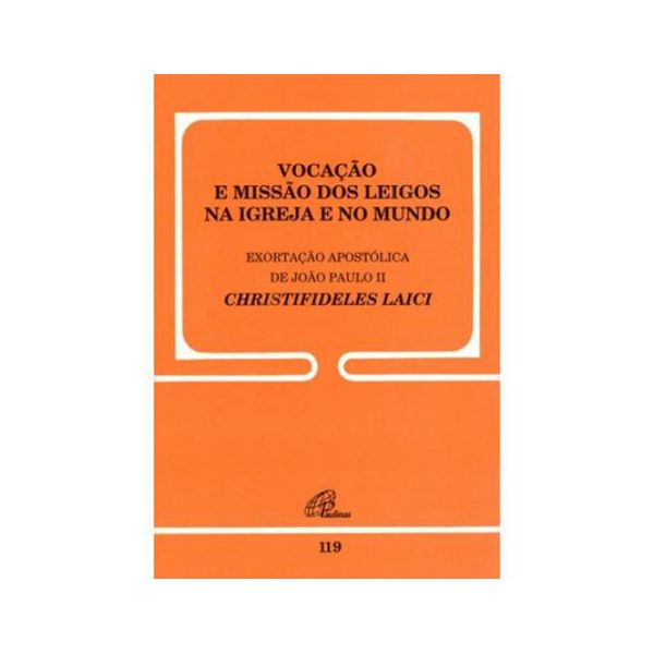 DOC 119 - VOCAÇÃO E MISSÃO DOS LEIGOS NA IGREJA E NO MUNDO