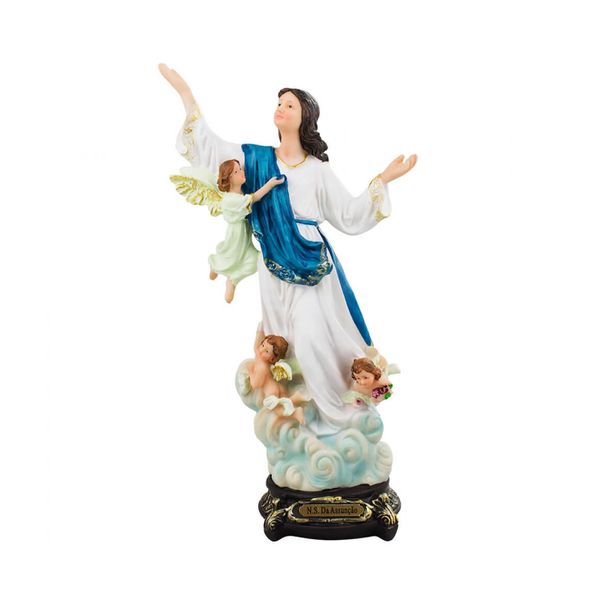 Imagem Resina - Nossa Senhora da Assunção 20 cm