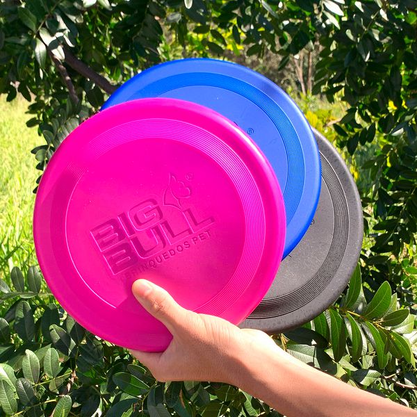 Kit 03 Frisbee Profissional - Big Bull Pet
