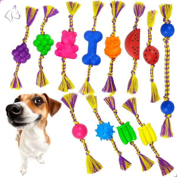 Kit com 03 Dental Bone Aleatório Porte Pequeno - Big Bull Pet