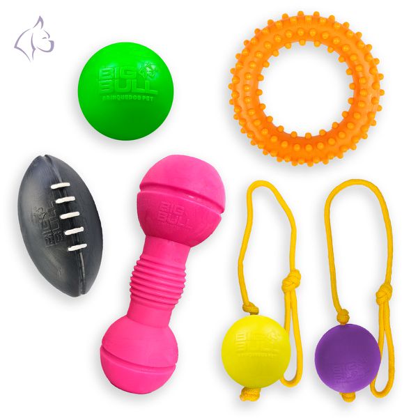 Kit Brinquedos Porte Médio Anel Halter Bola Fut Americano Bola Cabo de Guerra - Big Bull Pet